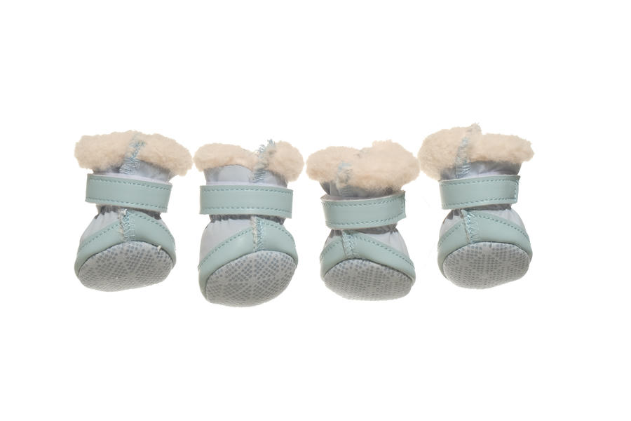 small dog booties winter